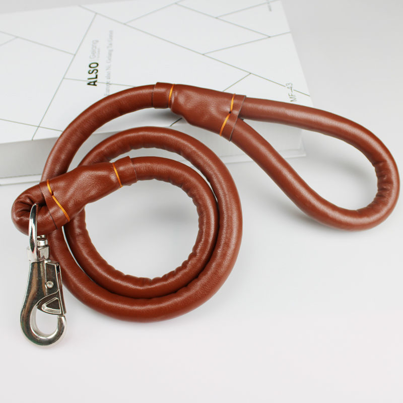 KFX-3673021 Medium to Large Leather Dog Collar with Traction Rope for Golden Retriever and Husky