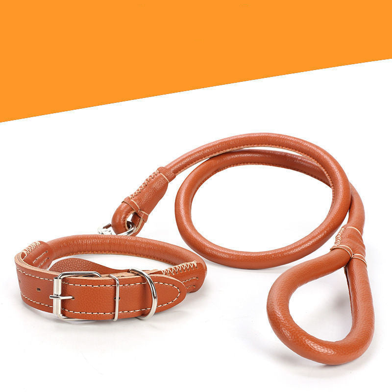 KFX-3673021 Medium to Large Leather Dog Collar with Traction Rope for Golden Retriever and Husky