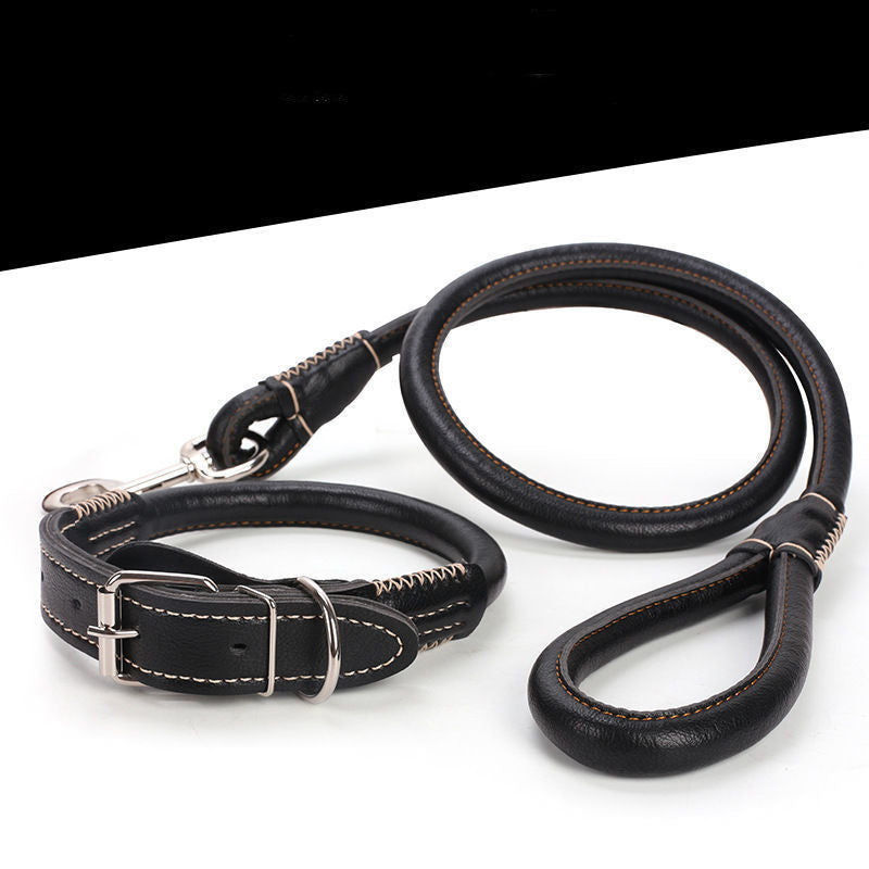 KFX-3673021 Medium to Large Leather Dog Collar with Traction Rope for Golden Retriever and Husky