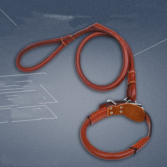 KFX-3673021 Medium to Large Leather Dog Collar with Traction Rope for Golden Retriever and Husky