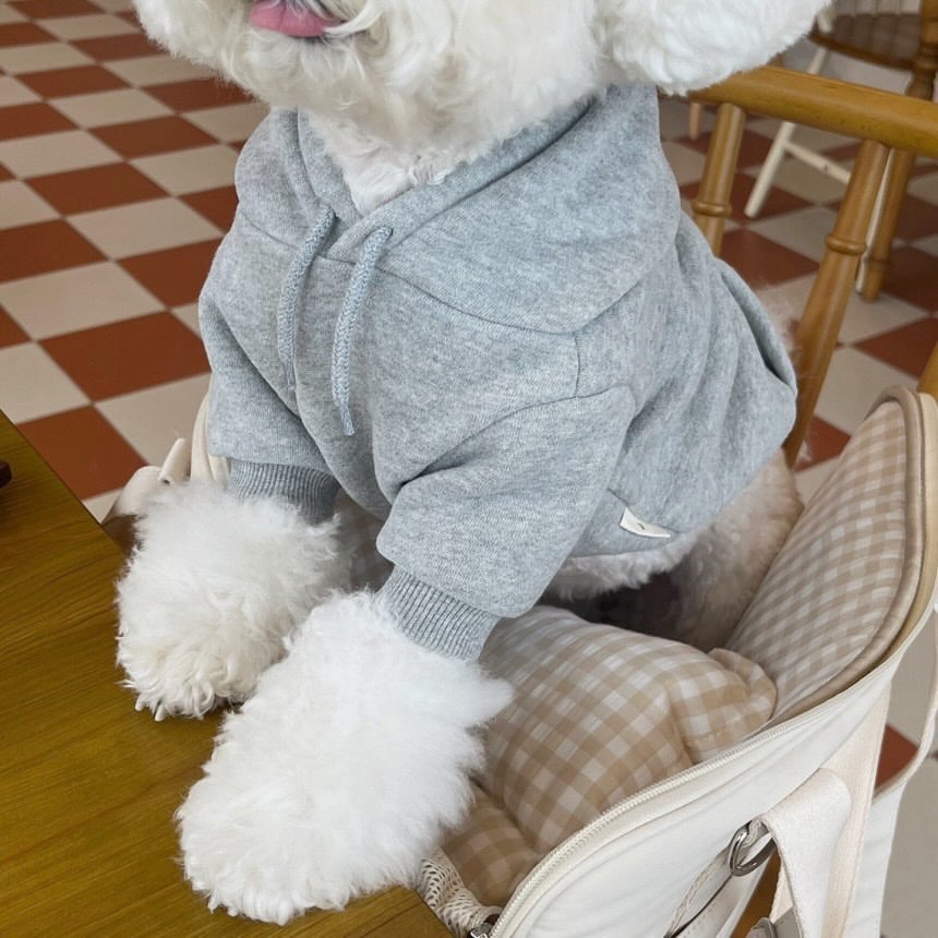 KFX-3676093 Cozy Hooded Sweater for Small Puppies and Cats - Gray & Dark Blue, Sizes XS to XL