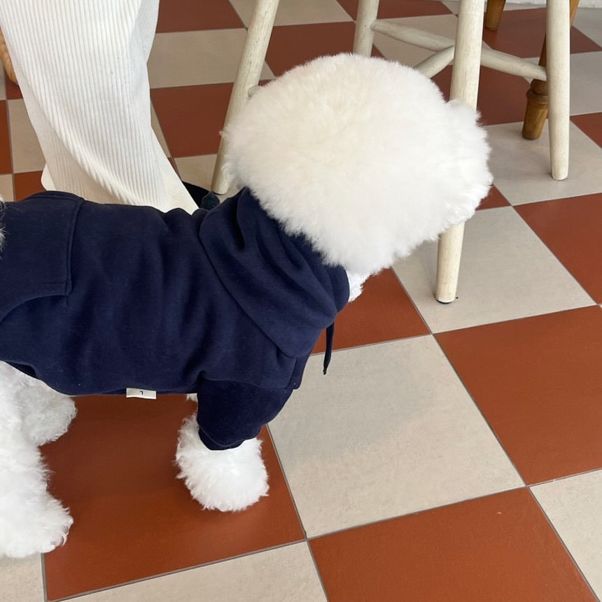 KFX-3676093 Cozy Hooded Sweater for Small Puppies and Cats - Gray & Dark Blue, Sizes XS to XL