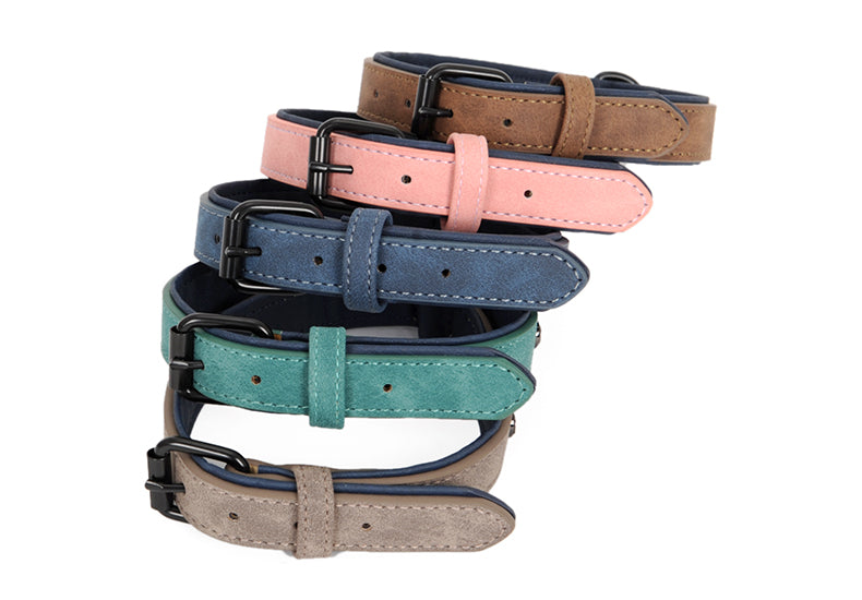 KFX-3682749 Eco-Friendly PVC Puppy Dog Collar with Adjustable Leash for Small to Medium Dogs
