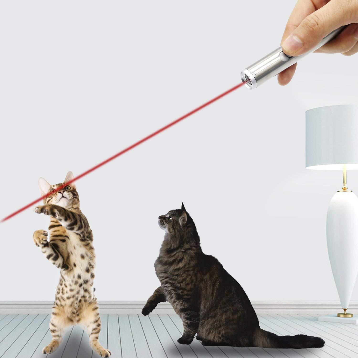KFX-3687357 Stainless Steel Laser Cat Toy with Light Function