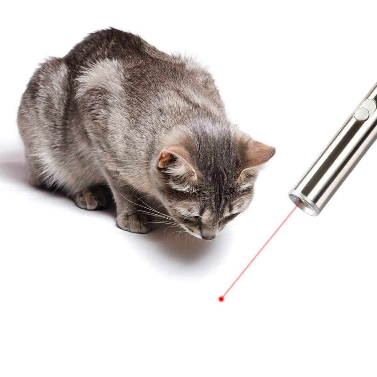 KFX-3687357 Stainless Steel Laser Cat Toy with Light Function