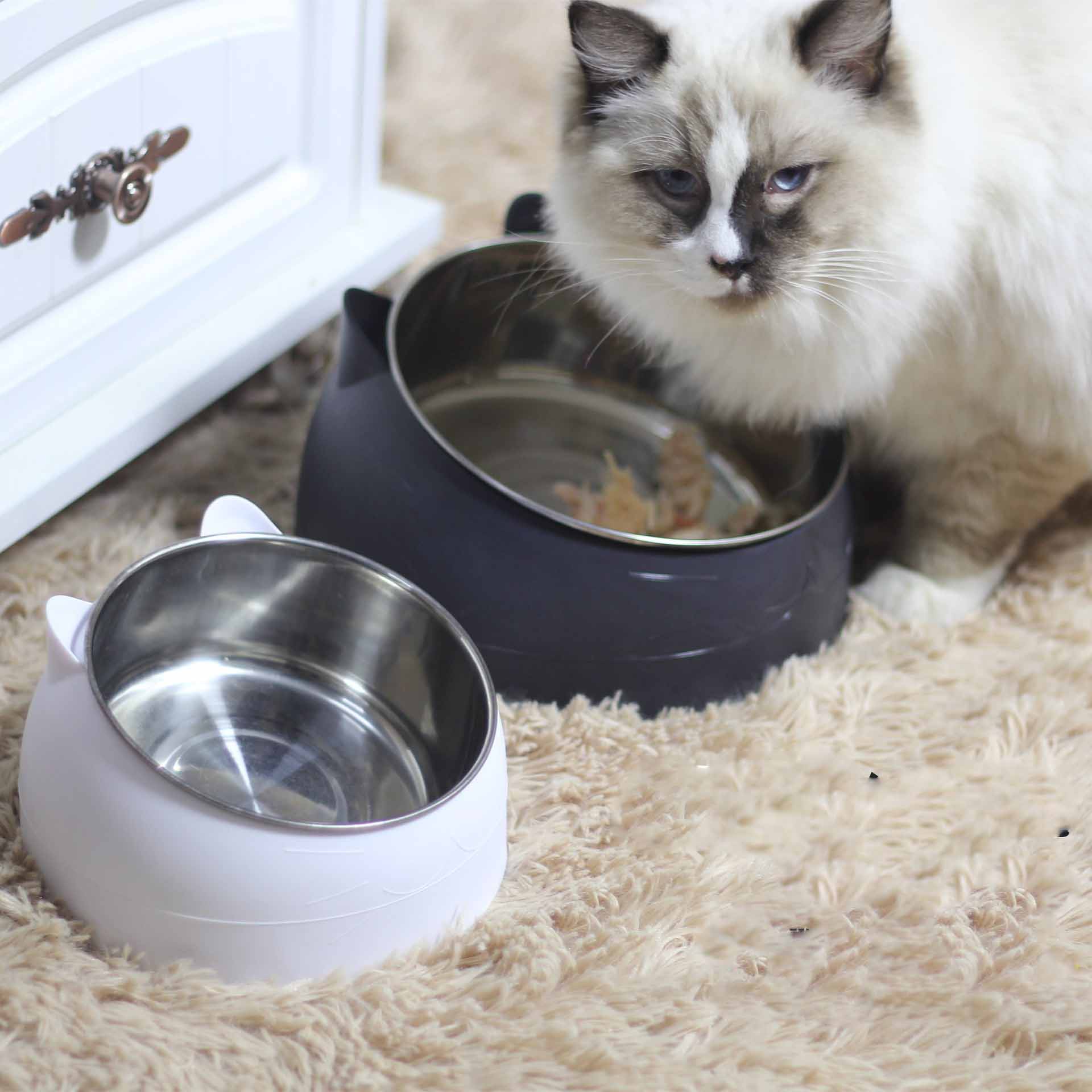 KFX-3692477 200ml Stainless Steel Pet Bowl with Oblique Mouth in Various Colors