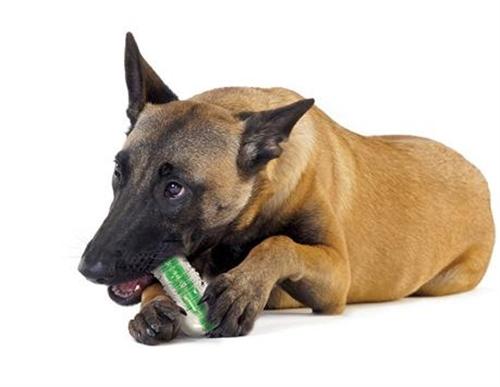 KFX-3693117 Crunchy Bone Toy for Dogs - Safe, Bite-Resistant Gnawing Toy with Wood Scent and Edible Sawdust