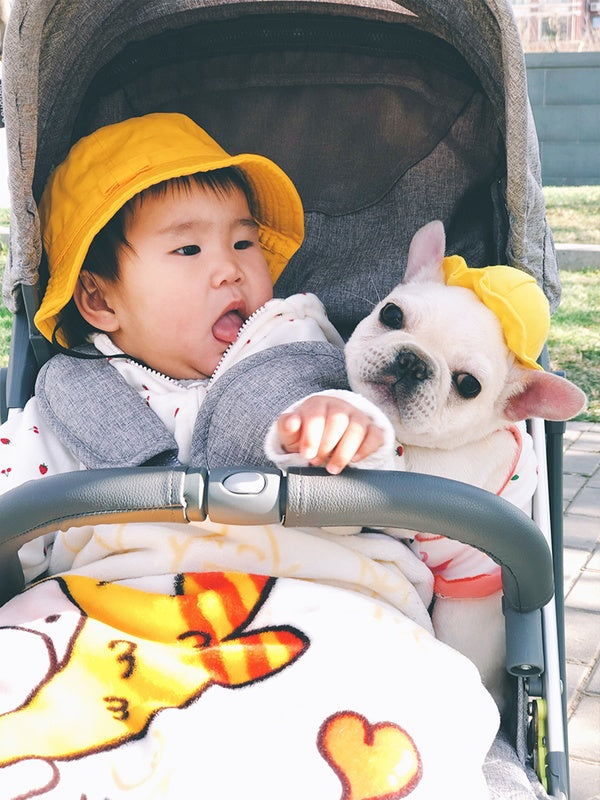 KFX-3698621 Cute Fisherman Hat for Pets - Two Sizes Available, Adjustable Canvas with Elastic Straps