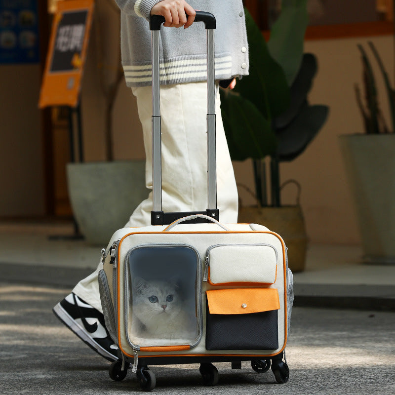 KFX-3701309 Stylish Medium Hardness Cat Backpack Trolley Bag - 32L Oxford Material