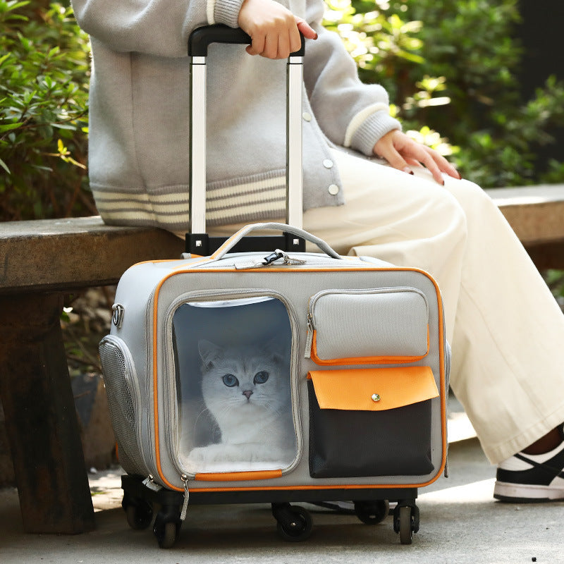 KFX-3701309 Stylish Medium Hardness Cat Backpack Trolley Bag - 32L Oxford Material