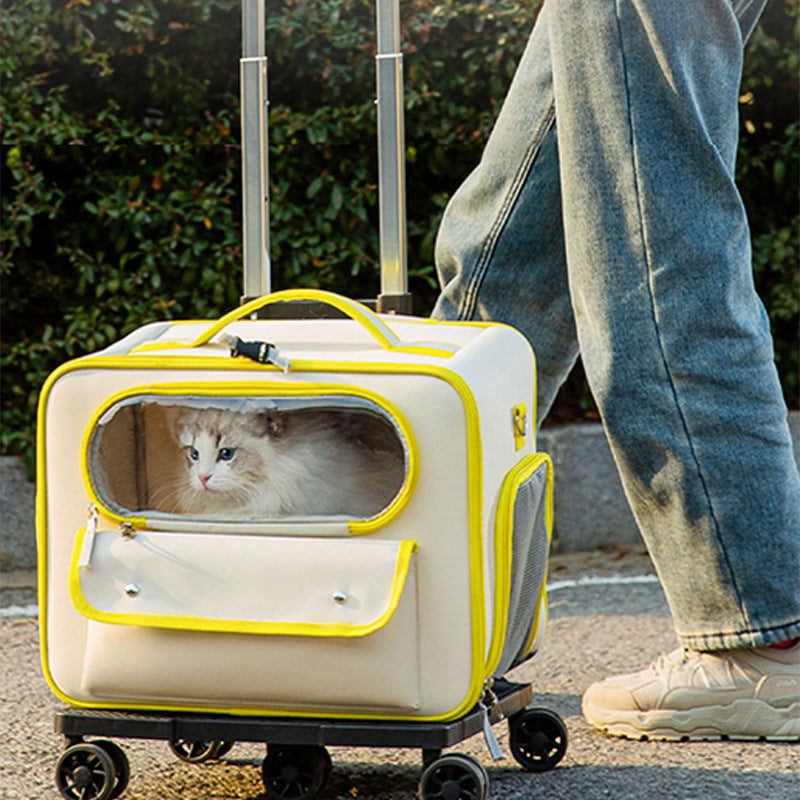 KFX-3701309 Stylish Medium Hardness Cat Backpack Trolley Bag - 32L Oxford Material