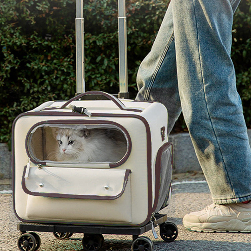 KFX-3701309 Stylish Medium Hardness Cat Backpack Trolley Bag - 32L Oxford Material