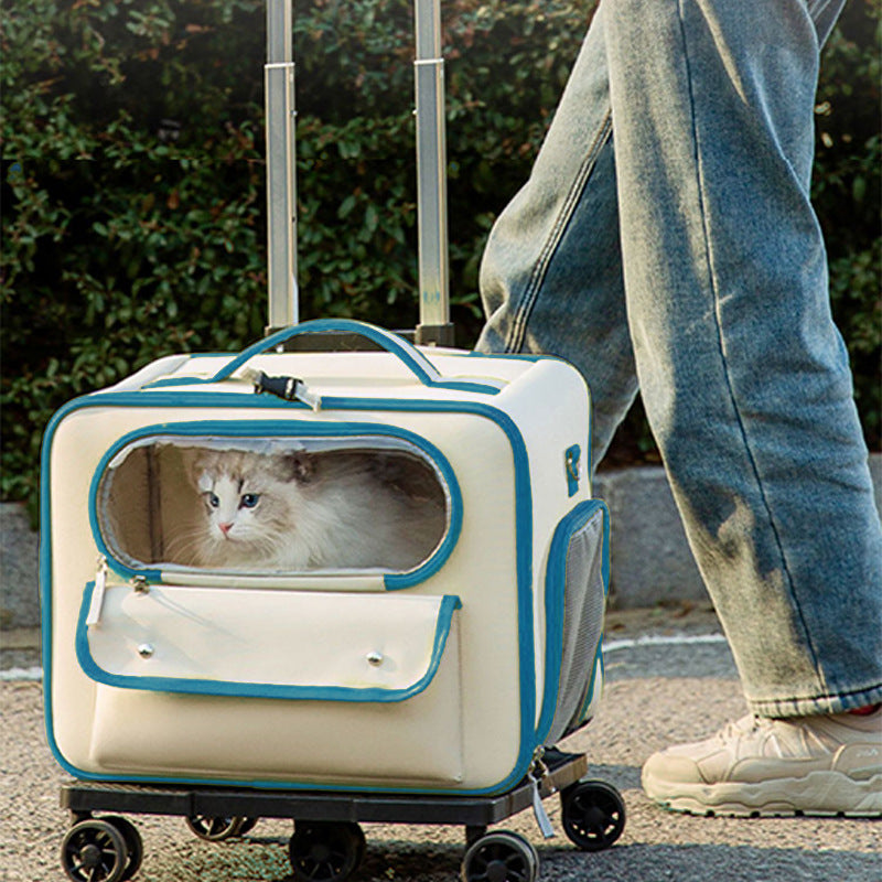 KFX-3701309 Stylish Medium Hardness Cat Backpack Trolley Bag - 32L Oxford Material
