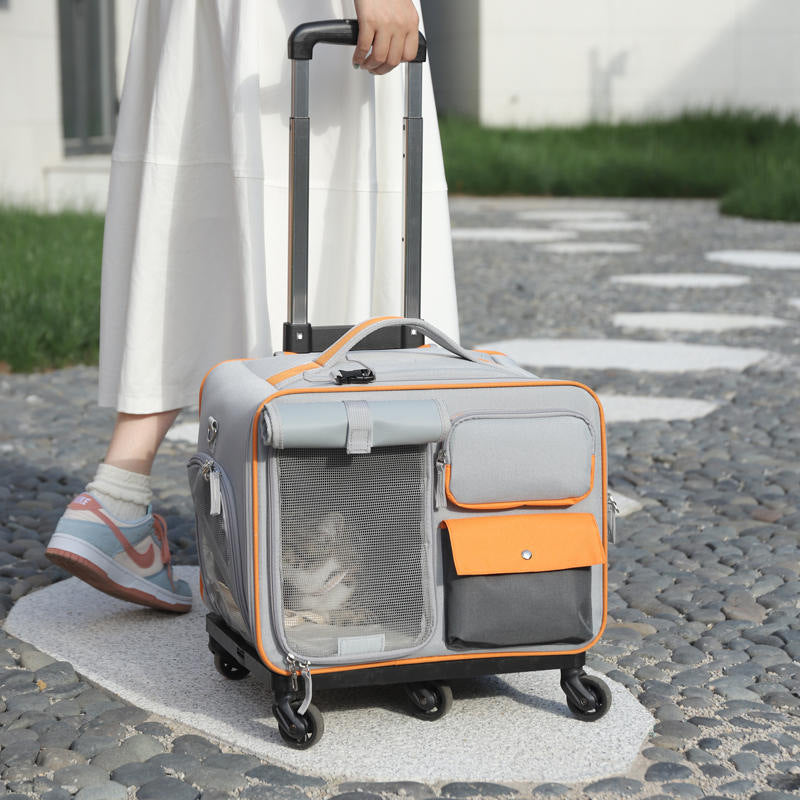 KFX-3701309 Stylish Medium Hardness Cat Backpack Trolley Bag - 32L Oxford Material