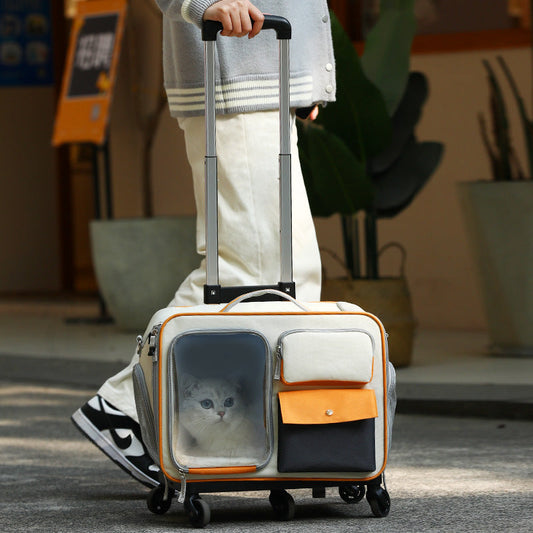 KFX-3701309 Stylish Medium Hardness Cat Backpack Trolley Bag - 32L Oxford Material