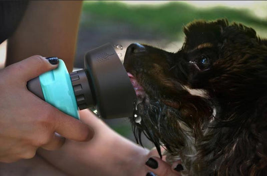 KFX-3703869 Foldable Pet Water Bottle with Integrated Bowl - BPA-Free Travel Water Dispenser for Dogs - 520ml Capacity