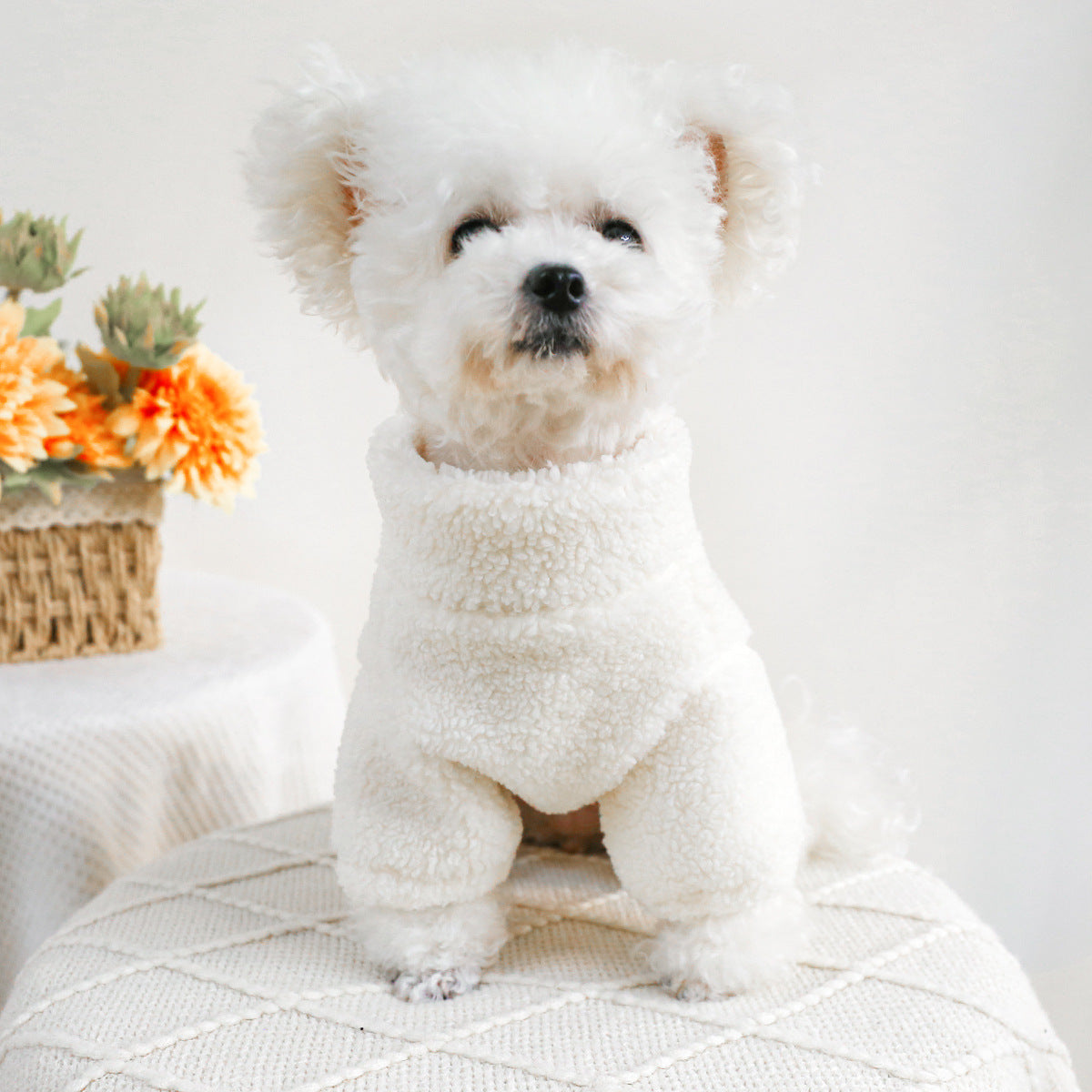 KFX-3706173 Cozy Autumn Winter Zipper Coat for Dogs and Cats - Casual Polyester Pet Clothing