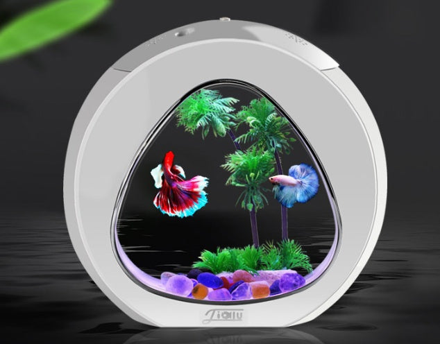 KFX-3707069 Compact Acrylic Desktop Aquarium - Small 290mm x 150mm x 265mm or Large 345mm x 165mm x 316mm