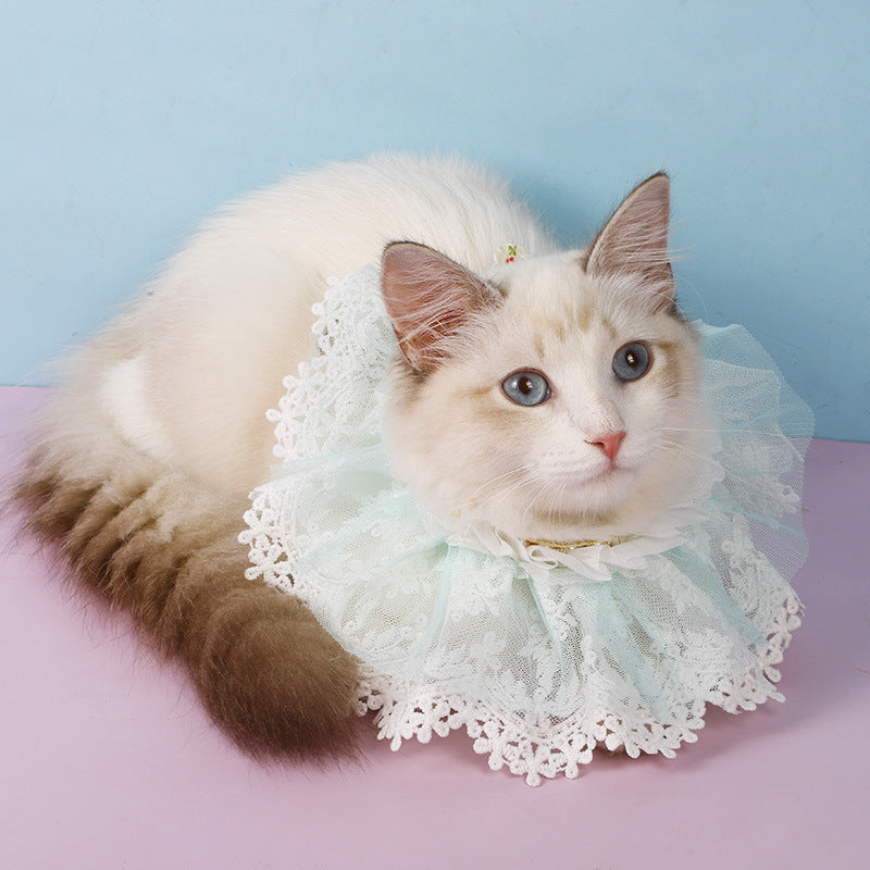 KFX-3711549 Princess Style Lace Scarf Collar for Cats - Pink, Light Blue, Beige, Four Seasons