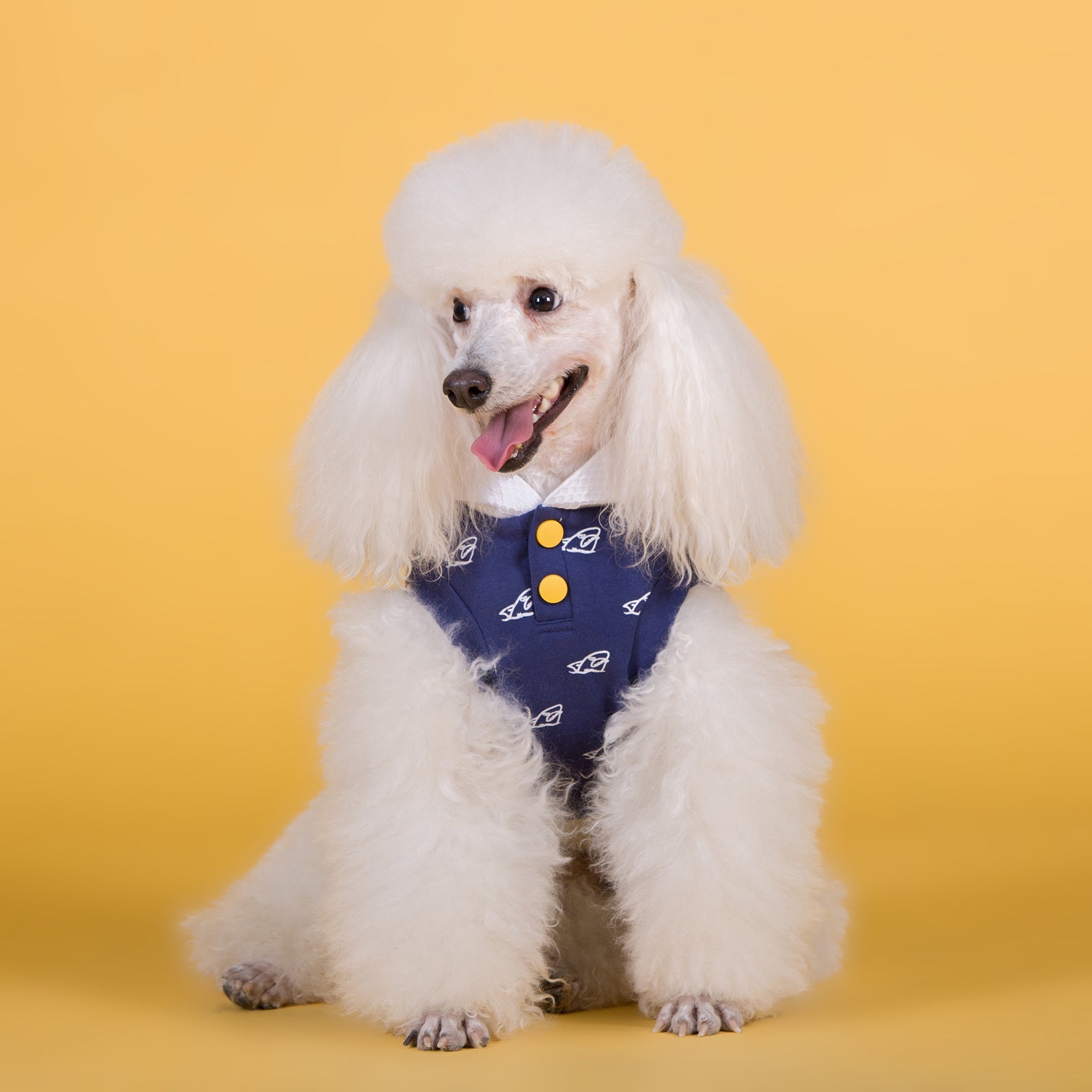 KFX-3714109 Cotton Stretch Dog Clothes for Spring and Summer, Casual Bipedal Wear in Blue and Yellow