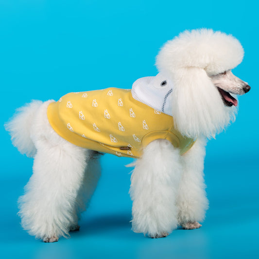 KFX-3714109 Cotton Stretch Dog Clothes for Spring and Summer, Casual Bipedal Wear in Blue and Yellow