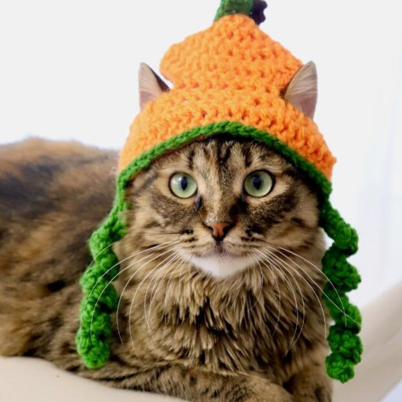 KFX-3717693 Knitted Cartoon Pet Hat for Cats and Dogs – Four Seasonal Styles in Coffee, Black, and Pumpkin Colors