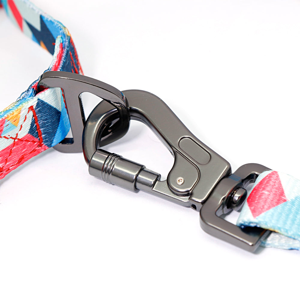 KFX-3721277 Personalized Dog Tag Collars for Small to Medium Dogs - Blue & Orange Options