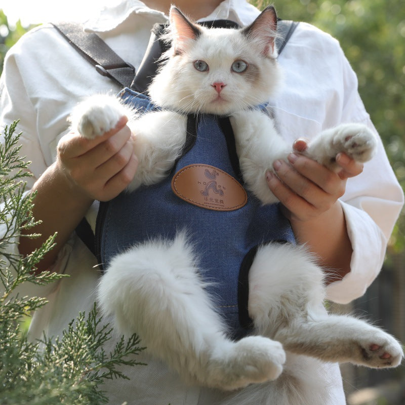 KFX-3727293 Cartoon Patterned Canvas Portable Cat Backpack for Spring Outings - Multiple Sizes Available