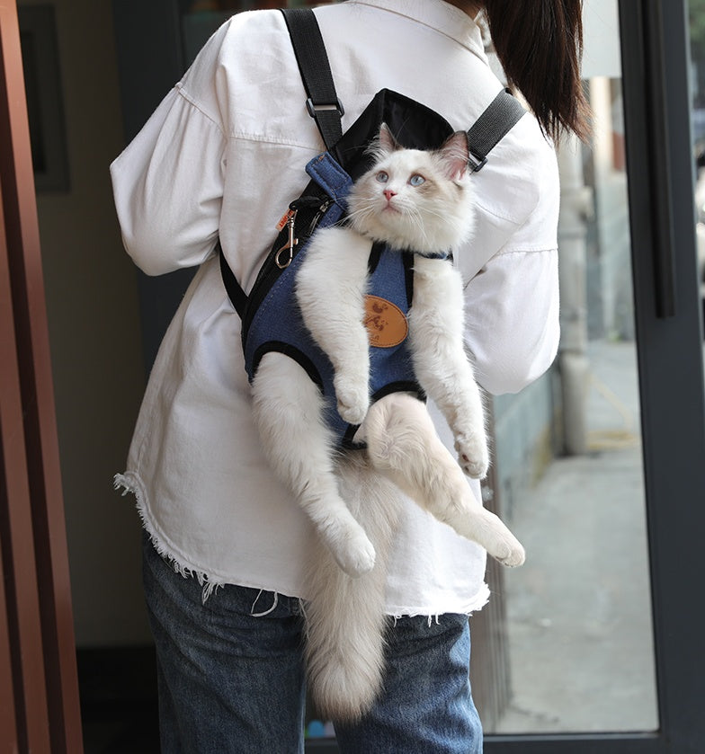 KFX-3727293 Cartoon Patterned Canvas Portable Cat Backpack for Spring Outings - Multiple Sizes Available