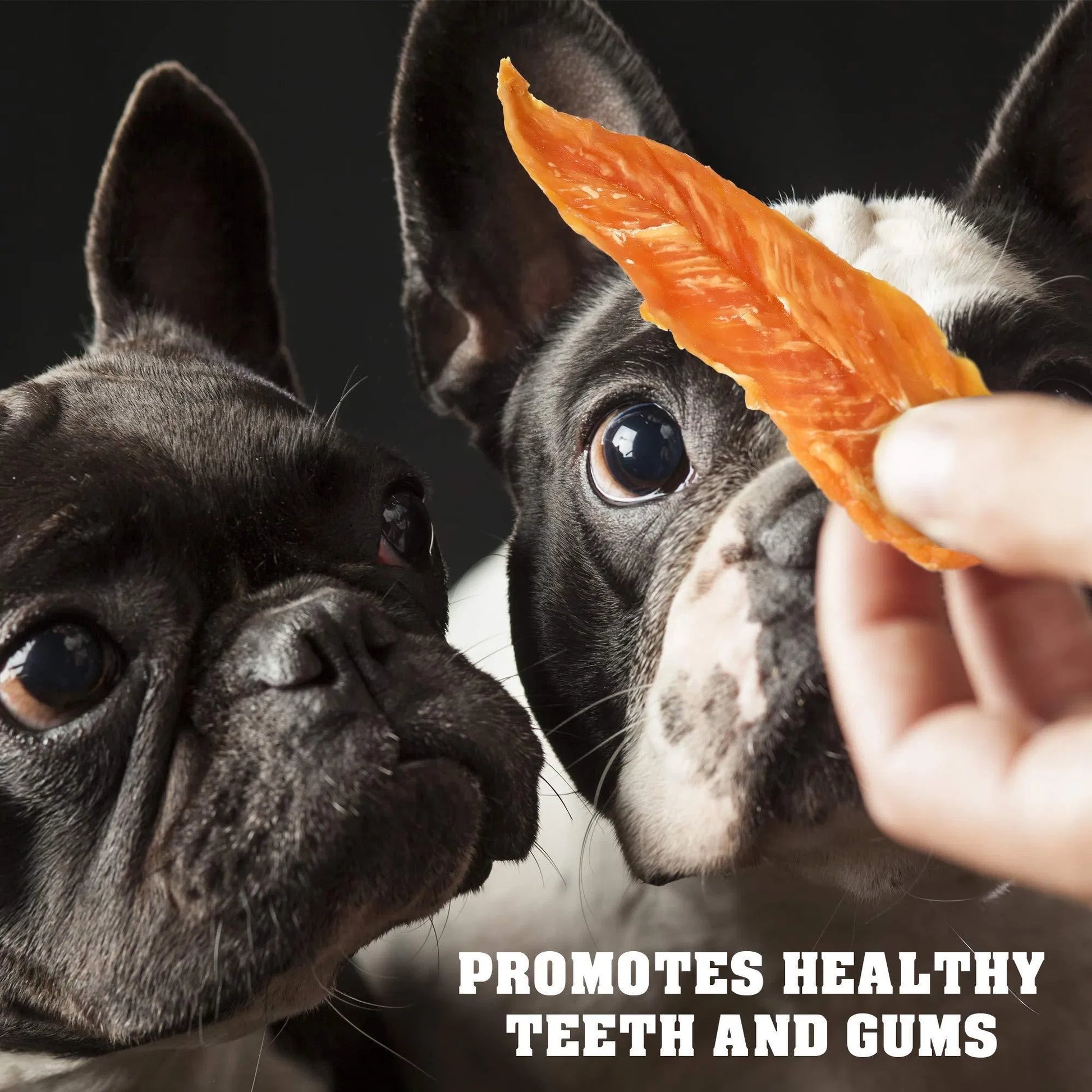 KFX-3730877 Chicken Jerky Dog Treats, 1.5 Lb - All Natural, Grain Free, High Protein Snack for Dogs of All Sizes