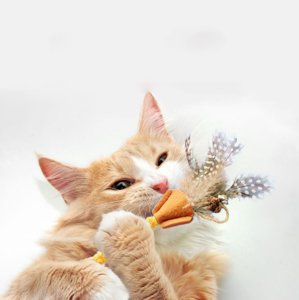 KFX-3732285 Cat Molar Stick Made from Natural Polygonum Wood for Healthy Dental Chewing