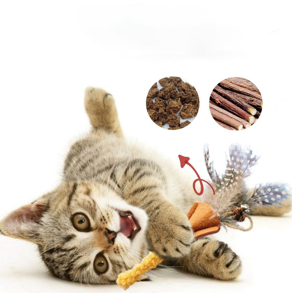 KFX-3732285 Cat Molar Stick Made from Natural Polygonum Wood for Healthy Dental Chewing