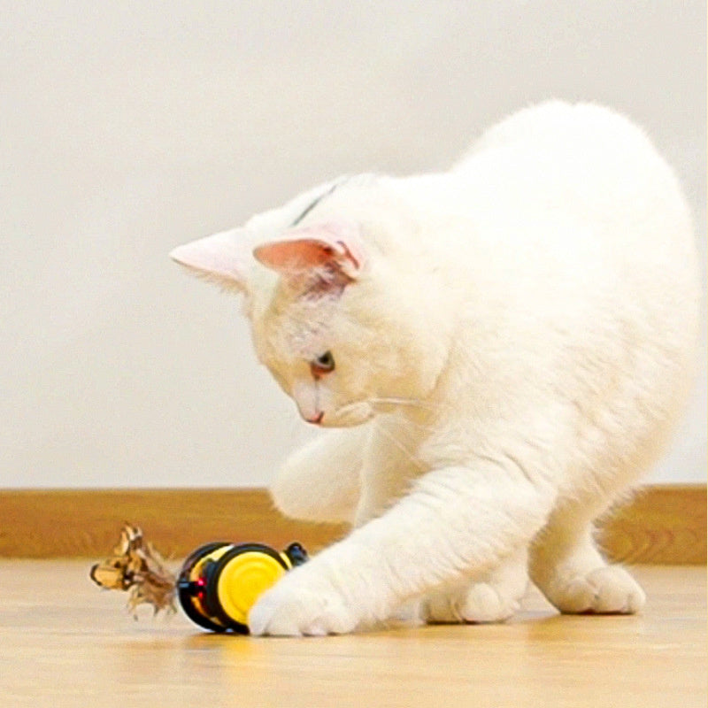 KFX-3749565 Electric Interactive Cat Toy with Teaser Feather and Random Movement for Engaging Playtime