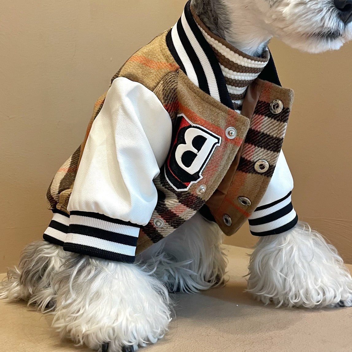 KFX-3751741 Winter Wool Pet Jacket for Dogs - Padded Outerwear for Schnauzer, Bichon, Teddy, Shiba Inu - Size XS to XL