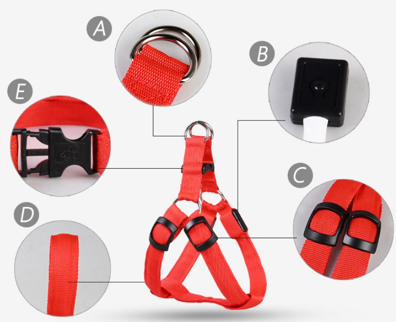 KFX-3757117 LED Luminous Dog Chest Strap with Interchangeable Leash - Multiple Colors & Flashing Modes