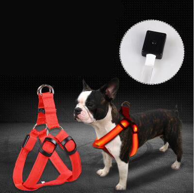 KFX-3757117 LED Luminous Dog Chest Strap with Interchangeable Leash - Multiple Colors & Flashing Modes