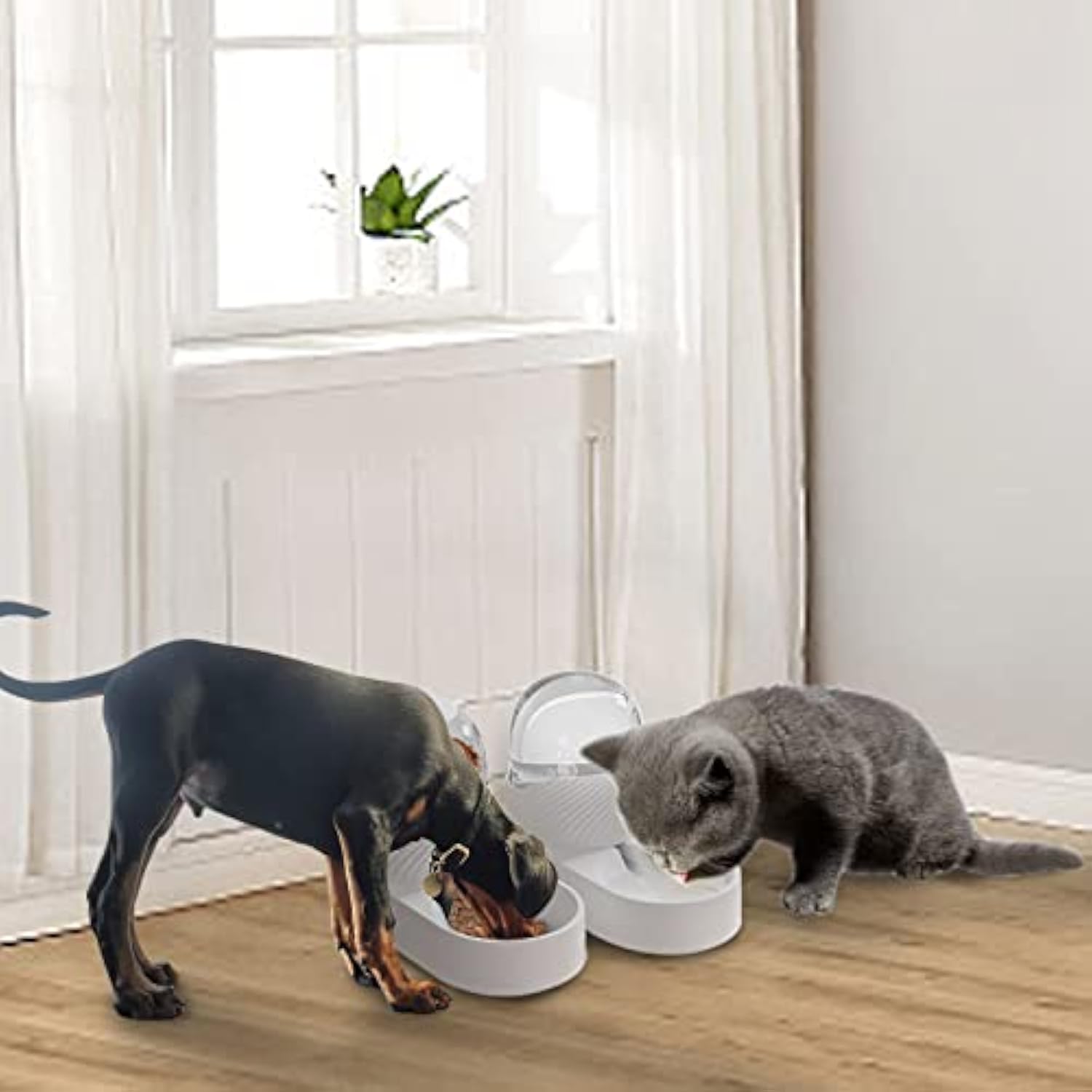KFX-3759293 Cat Feeder and Water Dispenser Set - 2L Capacity Automatic Food and Water Bowl for Healthy Eating Habits