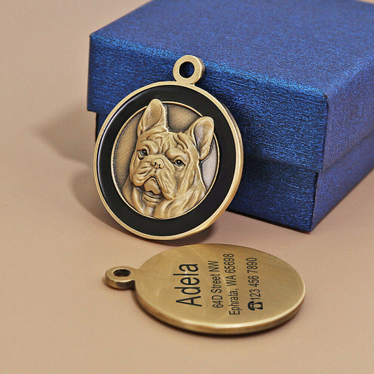 KFX-3760445 Personalized Metal Dog and Cat Identity Tag with Anti-Lost Feature