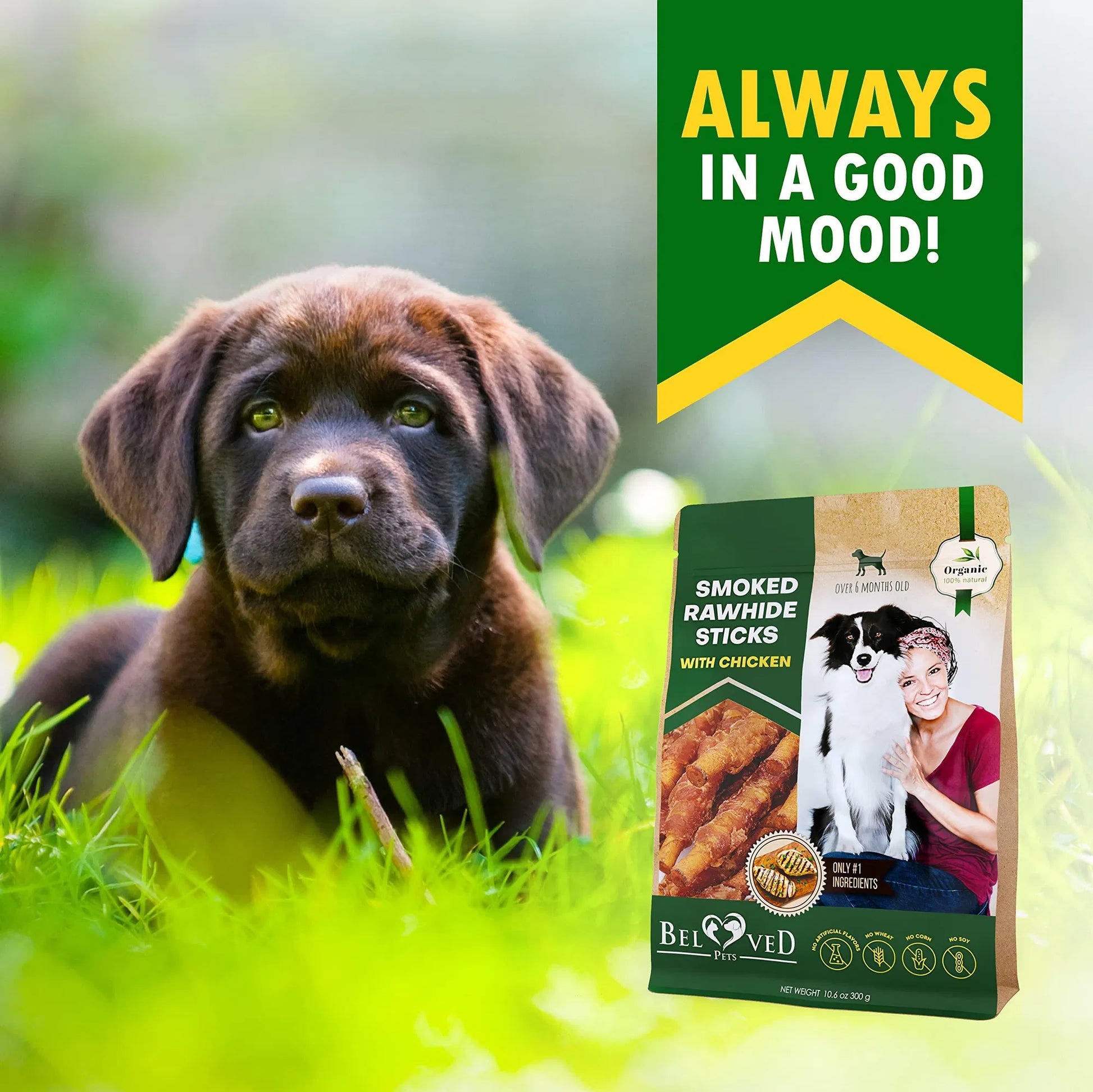KFX-3763645 Natural Chicken-Wrapped Rawhide Chews for Dogs - Grain-Free, Healthy Treats for Dental Care and Training