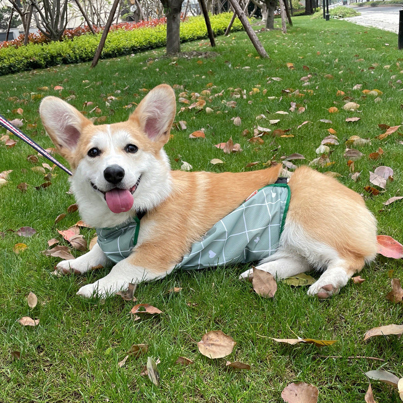 KFX-3769917 Lightweight Waterproof Summer Dog Raincoat with Cool Belly Protector in Green and Brown