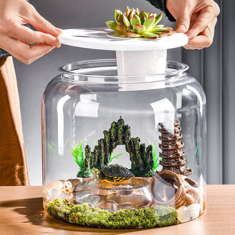 KFX-3772605 Large Transparent Eco-Friendly Plastic Turtle Tank with Lid Options