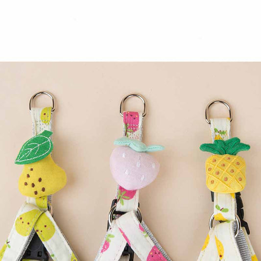 KFX-3773117 Adjustable Dog Collar and Leash Set - Fruit Print Design for Small to Medium Dogs