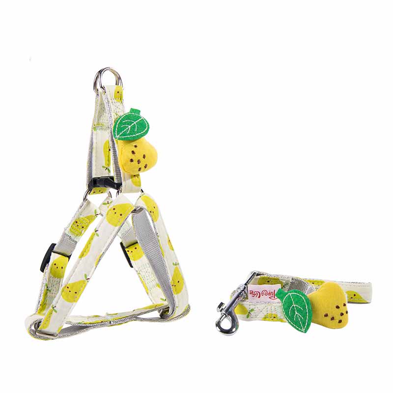 KFX-3773117 Adjustable Dog Collar and Leash Set - Fruit Print Design for Small to Medium Dogs