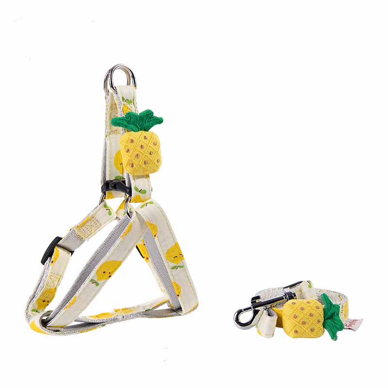KFX-3773117 Adjustable Dog Collar and Leash Set - Fruit Print Design for Small to Medium Dogs