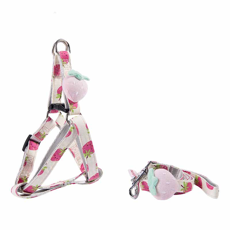 KFX-3773117 Adjustable Dog Collar and Leash Set - Fruit Print Design for Small to Medium Dogs