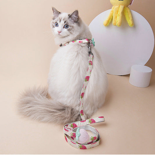 KFX-3773117 Adjustable Dog Collar and Leash Set - Fruit Print Design for Small to Medium Dogs