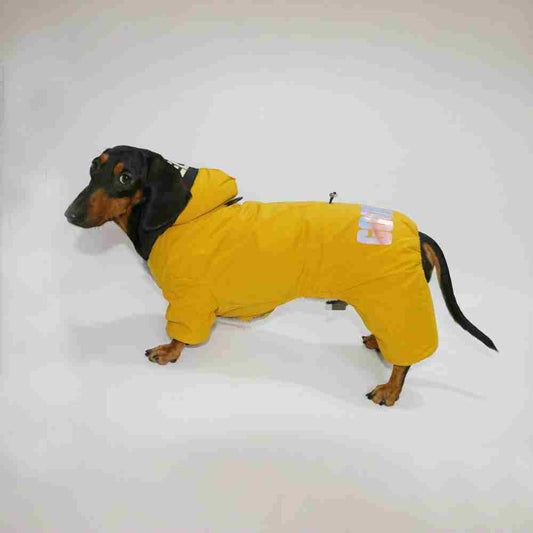 KFX-3773885 Warm Thickened Four-Legged Pet Clothing for Dogs and Cats - Outdoor Winter Attire Available in Multiple Sizes and Colors