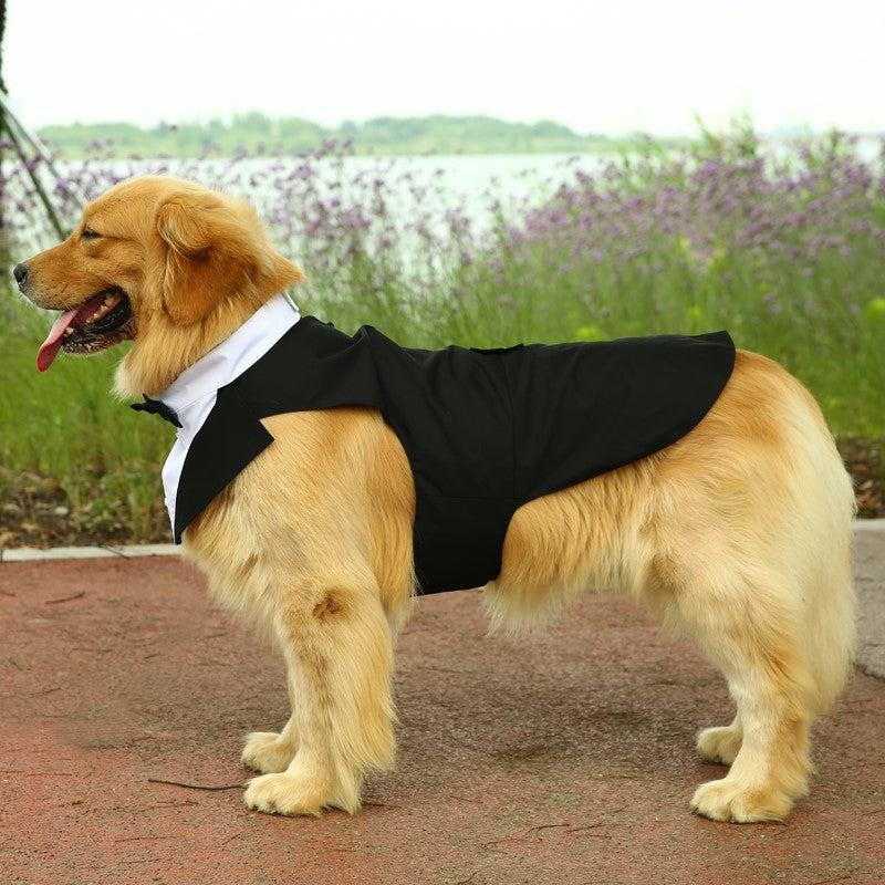 KFX-3777469 Casual Black Bow Tie Dog Suit with Skirt - Available in Multiple Sizes