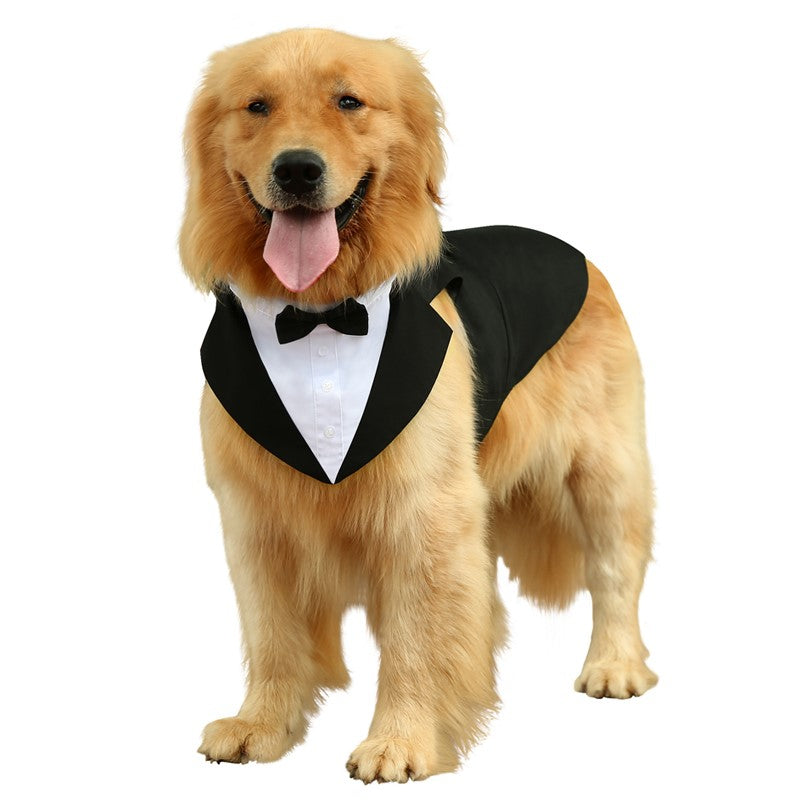 KFX-3777469 Casual Black Bow Tie Dog Suit with Skirt - Available in Multiple Sizes