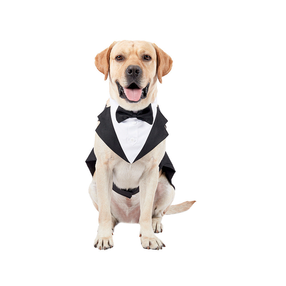 KFX-3777469 Casual Black Bow Tie Dog Suit with Skirt - Available in Multiple Sizes